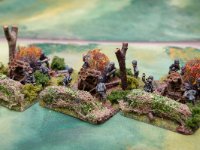 fow germans  (13 of 15)